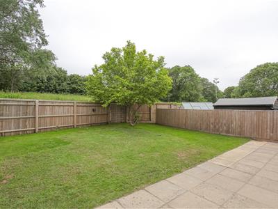 Picture 23